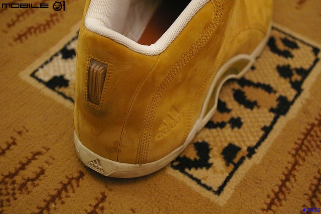 [球鞋寫真]我愛adidas