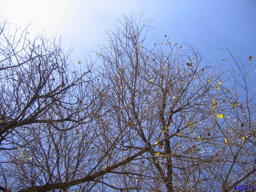 【分享】南非的天空