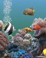 [K750i]手機也可養魚~動態水族箱佈景主題(+XP主題 9/1新增)