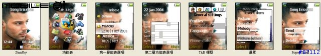 [分享K500i] 瑞奇馬丁最新專輯造型主題