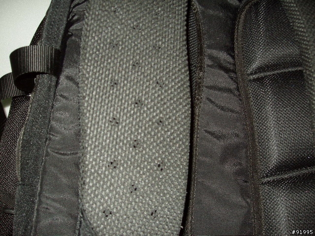 新買電腦背包-PROMAX BREATHE MAX