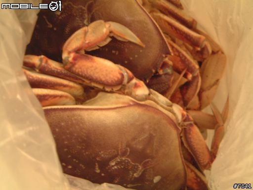 (吃) 我的感恩節餐