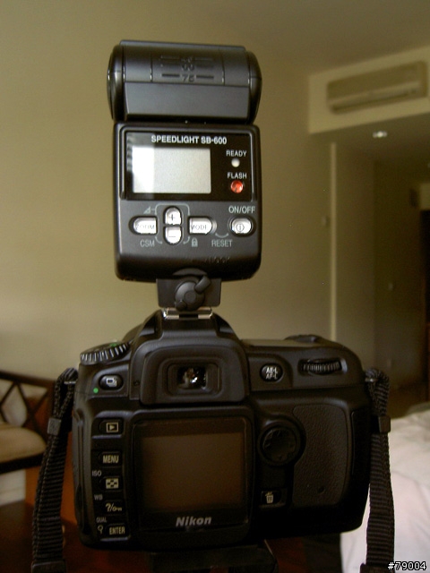 [分享] 再來一台 Nikon D50  (戰鬥力提升配件)