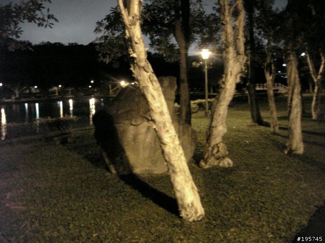 903夜拍邊邊過亮