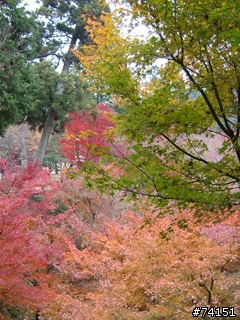 京都螢幕圖檔