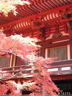 京都螢幕圖檔