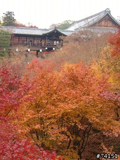 京都螢幕圖檔