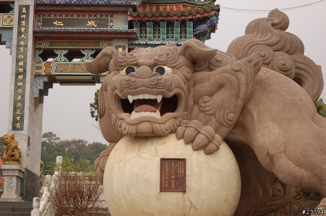 D50KIT試拍