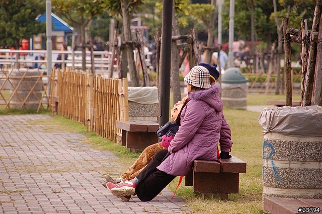D50+SIGMA 18-200試拍...圖多