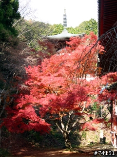 京都螢幕圖檔