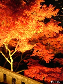 京都螢幕圖檔