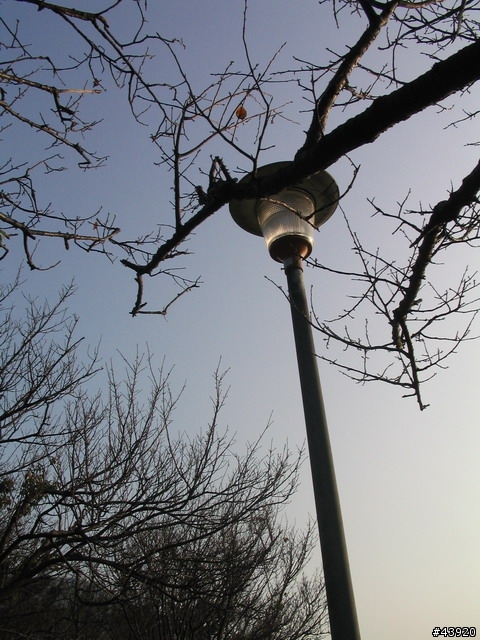 大家幫我看一下我的 Canon A70