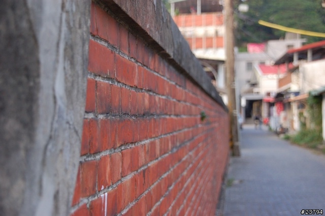 D50+SIGMA 18-200試拍...圖多