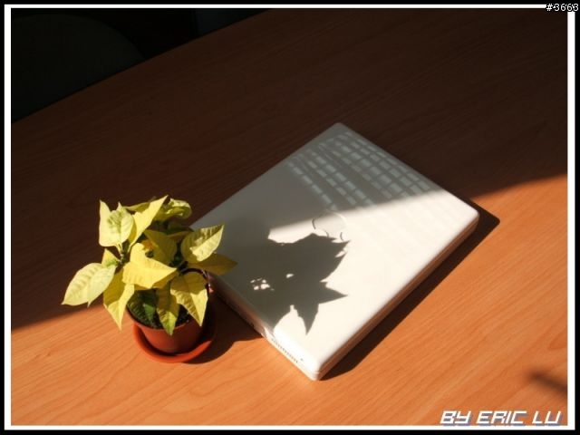 我的陽光小白....曬太陽後意想不到的效果