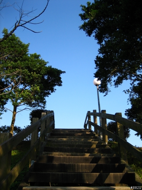 Canon IXUS 55/IXY Digital 60 簡單使用心得