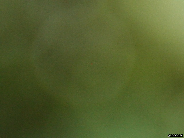 [求救]canon EOS350D CMOS好像有壞點