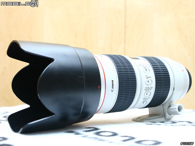 [分享]CANON小白砲望遠變焦鏡小集合