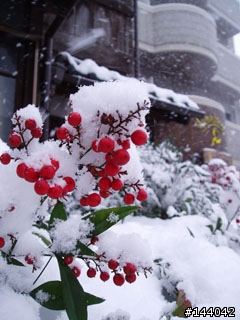 V903sh《大雪紛飛金閣寺》需要的拿去當桌布~~