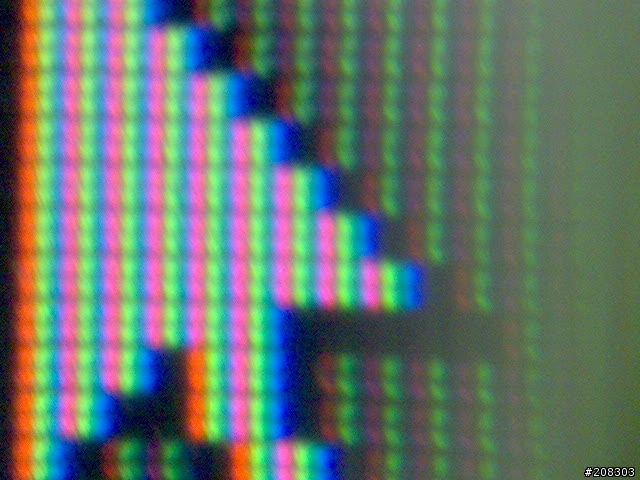 超級近拍{完全是用W550I拍的}