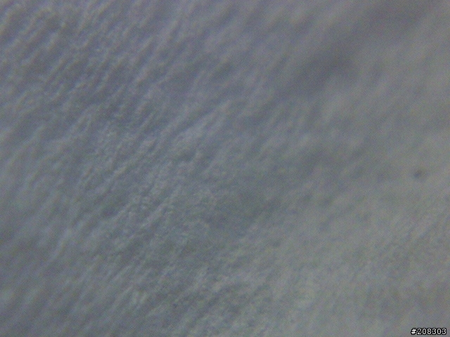 超級近拍{完全是用W550I拍的}