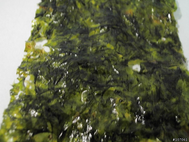 [分享] 海苔界的奧林匹克