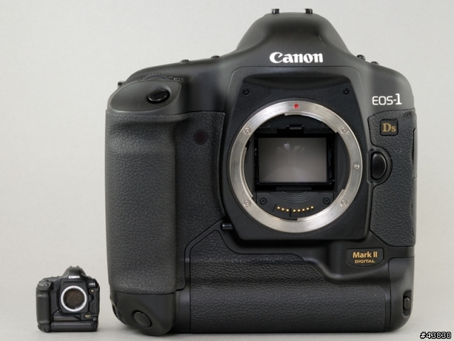 超超超迷你Canon EF 600mm F4+EOS-1Ds Mark II