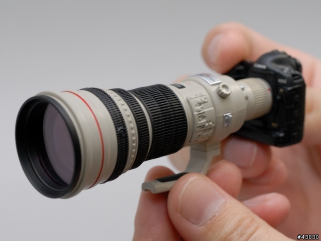 超超超迷你Canon EF 600mm F4+EOS-1Ds Mark II