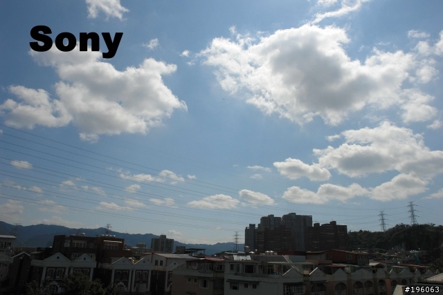 Nikon D70 VS R1