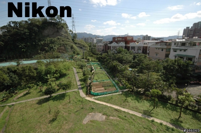 Nikon D70 VS R1