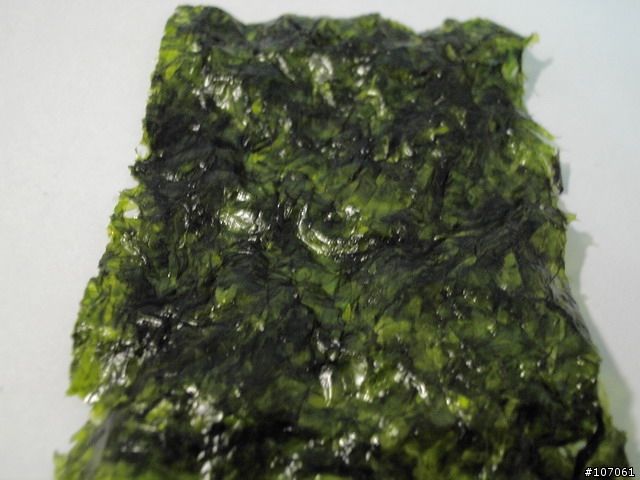 [分享] 海苔界的奧林匹克