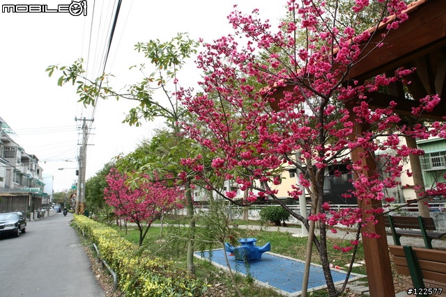 [分享]Sigma 14mm F2.8 EX Aspherical HSM