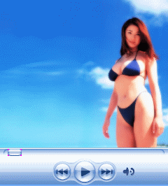 (原創)WM5 的 Media Player Skin