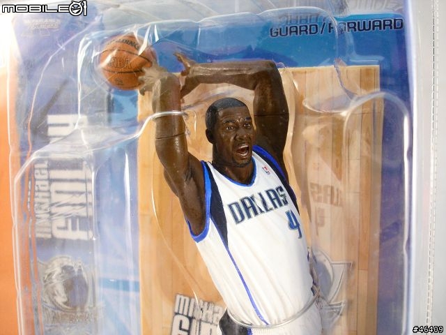 [McFarlane運動系列]NBA series 6