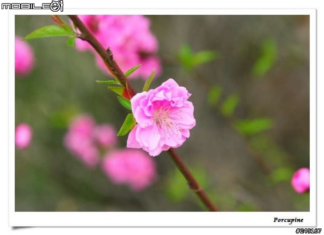 『分享』Canon EOS 30D～我的第一篇分享文（補測試圖）