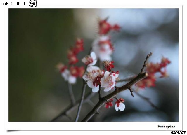『分享』Canon EOS 30D～我的第一篇分享文（補測試圖）