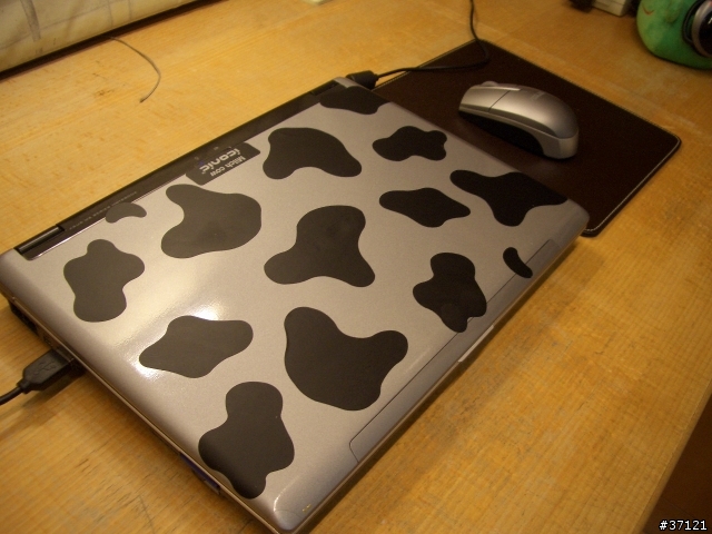 Wow Cow W6