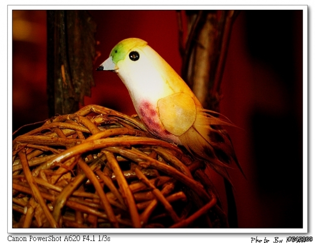 [搞笑] Canon A620 打鳥? (大大看了別打我阿)