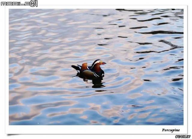 『分享』Canon EOS 30D～我的第一篇分享文（補測試圖）