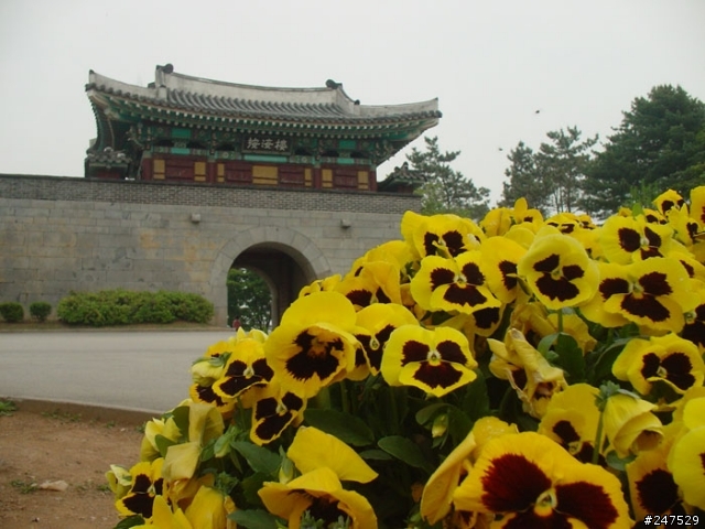 韓國生活點滴 之 古與今 (Life in Korea: Part II)