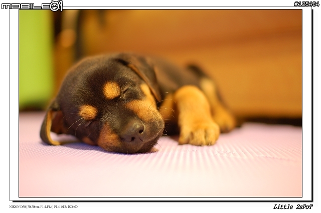 D50+Sigma 30mm F1.4 試拍