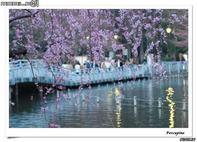 『分享』Canon EOS 30D～我的第一篇分享文（補測試圖）