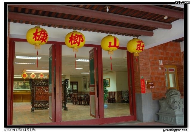 [D50]景觀窗中的南鯤（魚身）