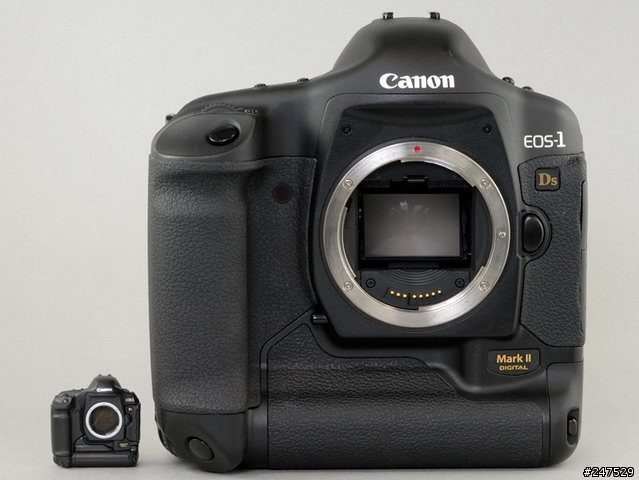 【分享】Canon EOS-1Ds Mark II + EF 600mm F4