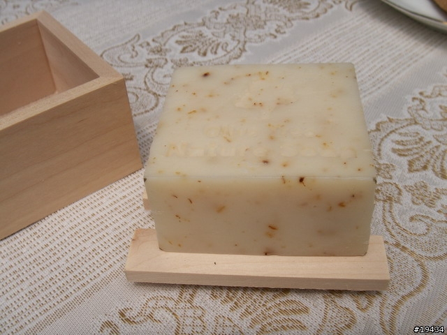 東海藝術街商圈的小天地～橄欖樹