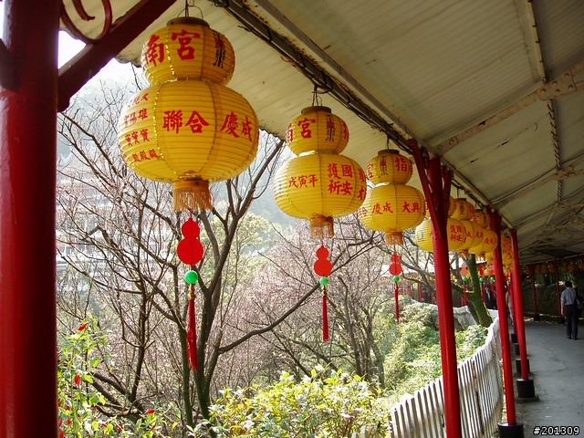 指南宮爬山之旅