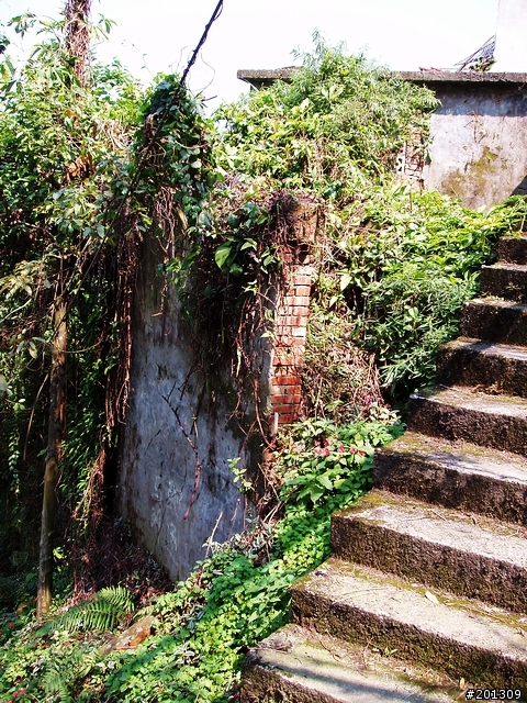 指南宮爬山之旅