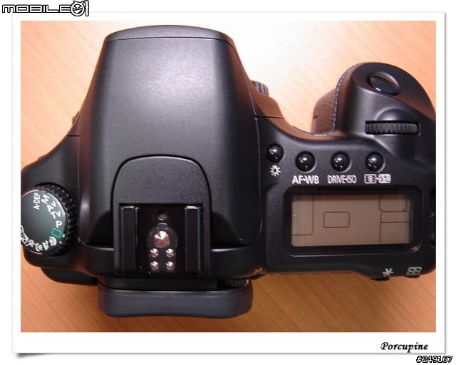 『分享』Canon EOS 30D～我的第一篇分享文（補測試圖）