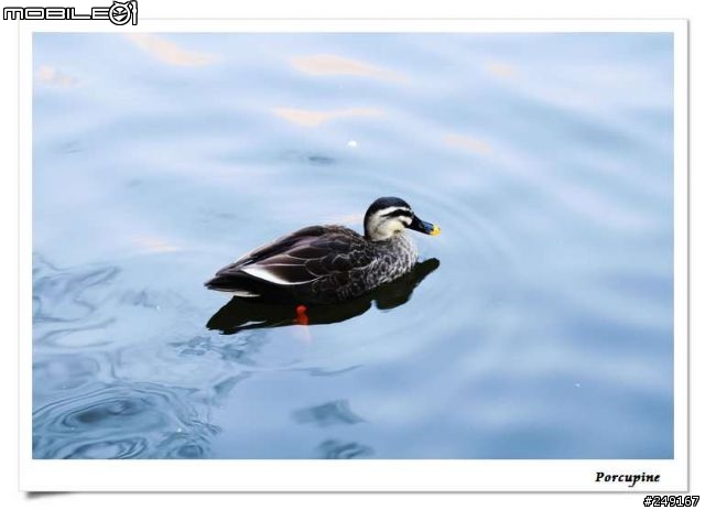 『分享』Canon EOS 30D～我的第一篇分享文（補測試圖）