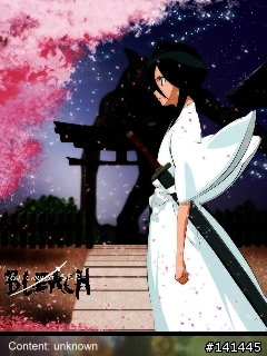 bleach     wallpaper 240x320