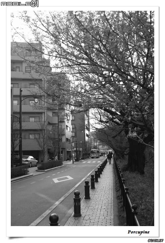 『分享』Canon EOS 30D～我的第一篇分享文（補測試圖）